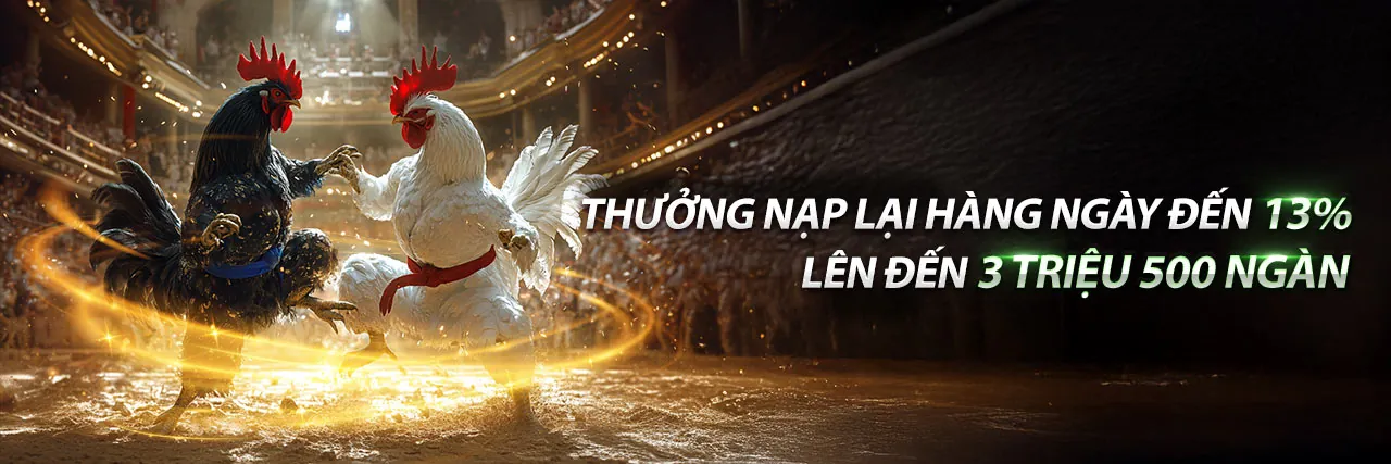 Đá Gà Trực Tiếp Hôm Nay Thomo